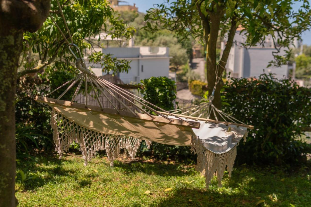 Villa Carolina Sorrento Private Heated Pool And Sea View Eksteriør billede