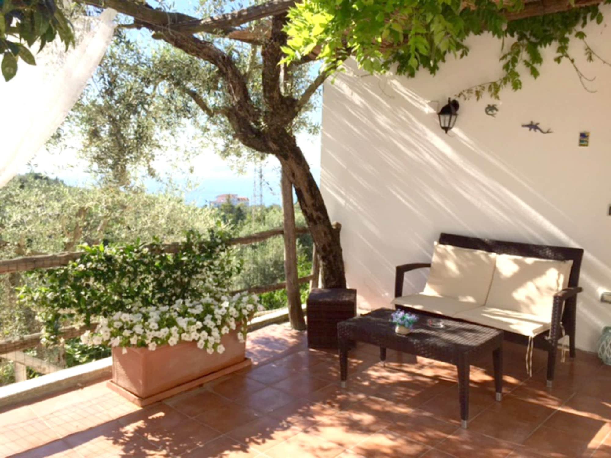 Villa Carolina Sorrento Private Heated Pool And Sea View Eksteriør billede