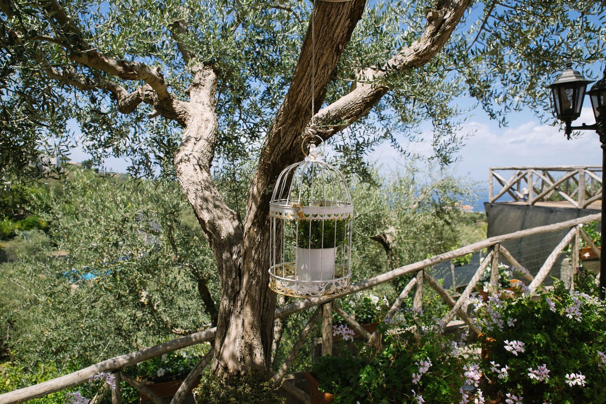 Villa Carolina Sorrento Private Heated Pool And Sea View Eksteriør billede